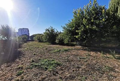 Teren Construcții intravilan de 1585 mp, în Ostroveni - 3