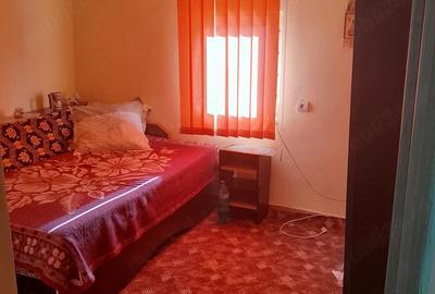 Casă cu 3 camere cu Teren 4000 Mp în Dejești