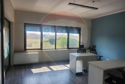 Birou, de 23 mp, în Nufărul - 3