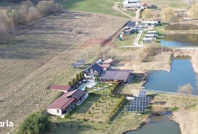 Teren de 7000 mp, în Laslea - 18