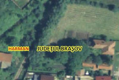 Teren de 554 mp, în Hărman - 4
