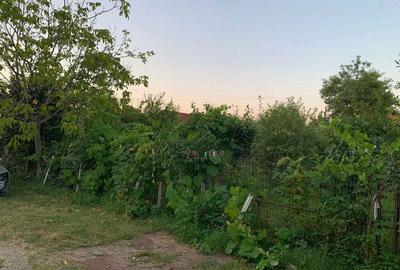 Casă cu 6 camere în Mărăcineanu - 7