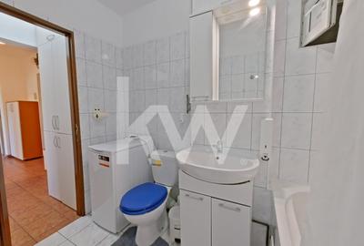 Apartament cu 2 camere decomandat, mobilat în Griviței - 9