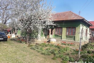 Casă cu 4 camere cu Teren 1600 Mp în Goicea