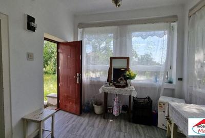 Casă individuală cu 2 camere cu Teren 8052 Mp în Viile Satu Mare - 9