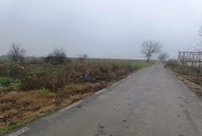 Teren Construcții intravilan de 2007 mp, în Câmpurelu - 3