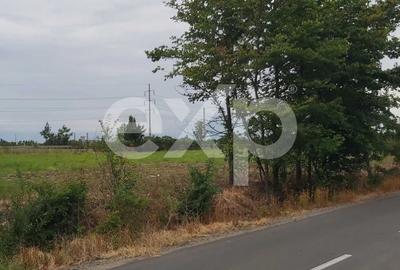 Teren Construcții intravilan de 4800 mp, în Exterior Sud - 3