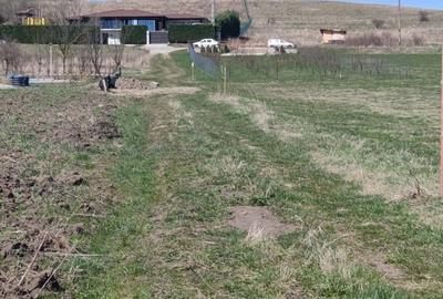 Teren de 5800 mp, în Aiton
