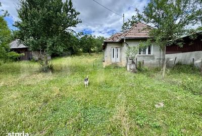 Casă cu 2 camere cu Teren 5000 Mp în Band - 2