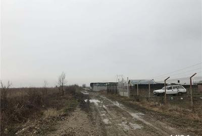 Teren de 10000 mp, în Butimanu - 2