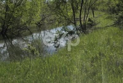 Teren în Moșoaia - 2