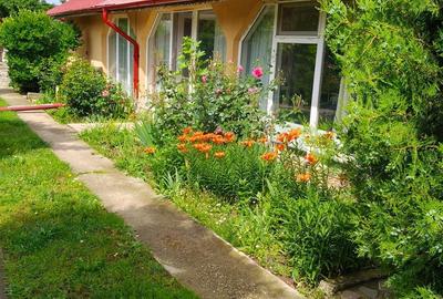 Casă cu Teren 1000 Mp în Mircea Vodă - 8
