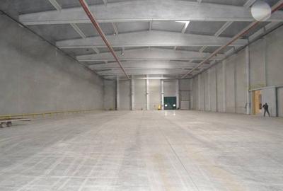 Spațiu comercial, de 3,850 mp, în Aeroport - 4
