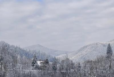 Teren de 22600 mp, în Sucevița - 10