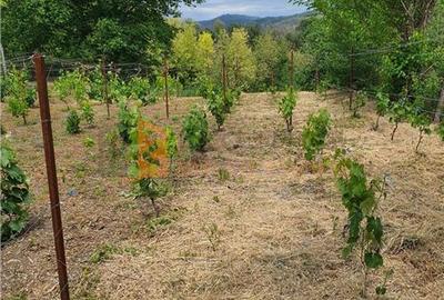 Teren intravilan de 1717 mp, în Beceni - 6