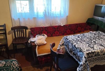 Casă cu Teren 963 Mp în Băi - 3