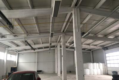 Spațiu industrial, de 580 mp, în Griviței