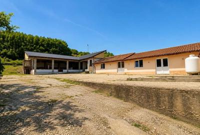 Casă cu 4 camere în Central - 5