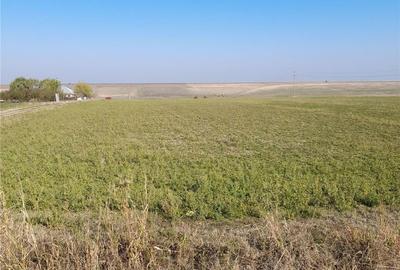 Teren de 15000 mp, în Sud - 1