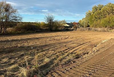 Teren Construcții intravilan de 1000 mp, în Ordoreanu - 1