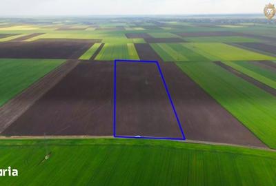 Teren de 68900 mp, în Secusigiu - 4