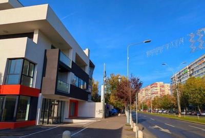 Spațiu comercial, de 113 mp, în Giurgiului - 5