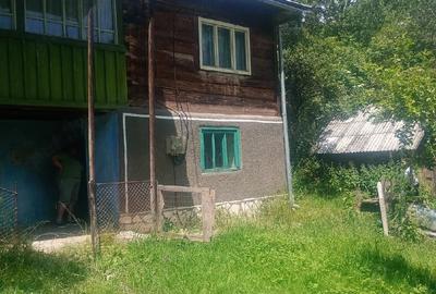 Casă cu Teren 3000 Mp în Sohodol - 4