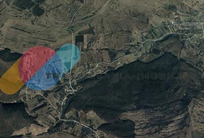 Teren Construcții intravilan de 5800 mp, în Pădureni (Chinteni)