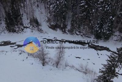 Teren Construcții intravilan de 2283 mp, în Tarcău - 5