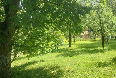 Teren de 1000 mp, în Podul Lung