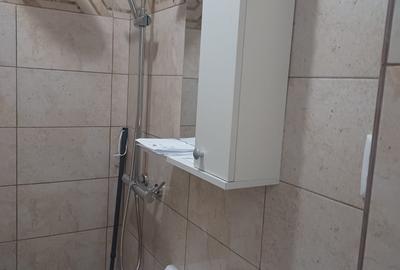 Garsonieră decomandată în Alexandru cel Bun - 8