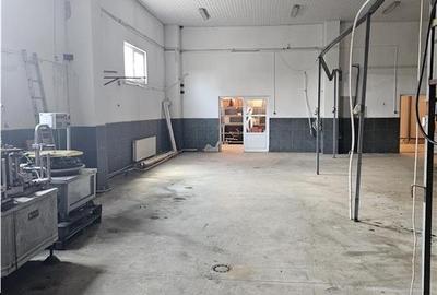 Spațiu industrial, de 2,200 mp, în Mârșa - 16