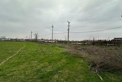 Teren Construcții intravilan de 155000 mp, în Mogoșești - 5