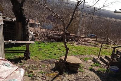 Casă cu Teren 304 Mp în Rediu - 1