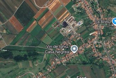 Teren de 1400 mp, în Șard