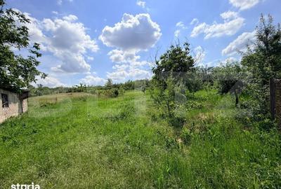 Teren de 2232 mp, în Brazda lui Novac - 1