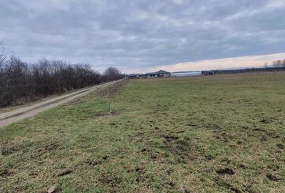 Teren intravilan de 6000 mp, în Bușag - 2