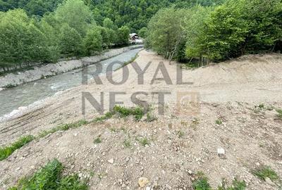 Teren Construcții intravilan de 12150 mp, în Plaiul Foii - 9
