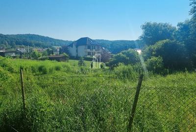 Teren extravilan de 90000 mp, în Corunca - 4