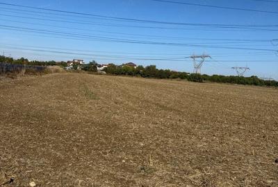 Teren de 14700 mp, în Glina - 3