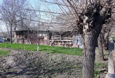 Casă individuală cu 3 camere cu Teren 2400 Mp în Salcia - 6