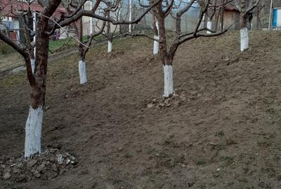 Casă cu 3 camere în Făget - 3