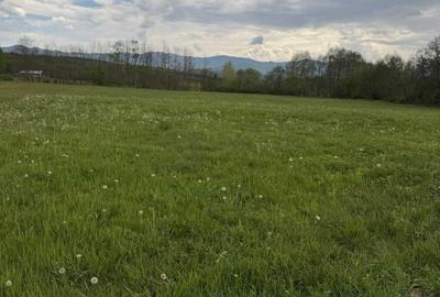 Teren de 3000 mp, în Șinca - 3