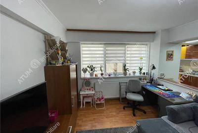 Apartament cu 2 camere semidecomandat, mobilat în Turnișor