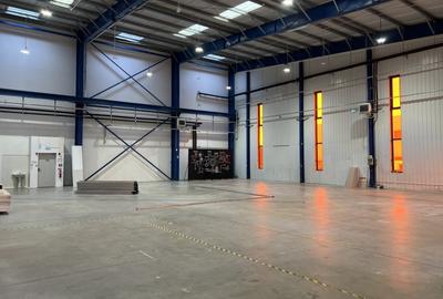 Spațiu industrial, de 650 mp, în Grigorescu - 8