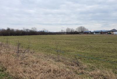 Teren intravilan de 6000 mp, în Bușag - 4