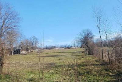 Teren de 6500 mp, în Gliganu de Sus