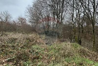 Teren de 1200 mp, în Satu Nou de Jos - 5