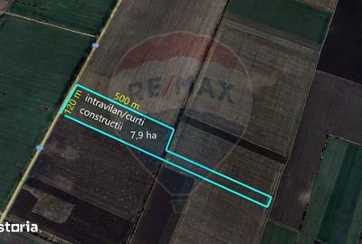 Teren de 79000 mp, în Dascălu - 3