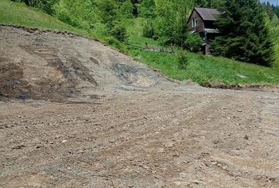 Teren de 3100 mp, în Muntele Băișorii - 6